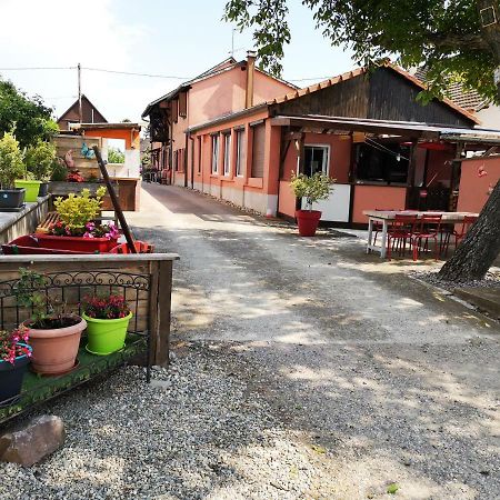 Gites & Camping On The Route Des Vins Bergheim Exterior foto