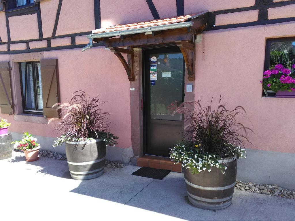 Gites & Camping On The Route Des Vins Bergheim Exterior foto