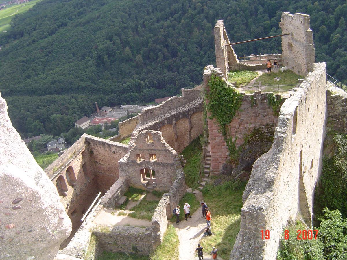 Gites & Camping On The Route Des Vins Bergheim Exterior foto